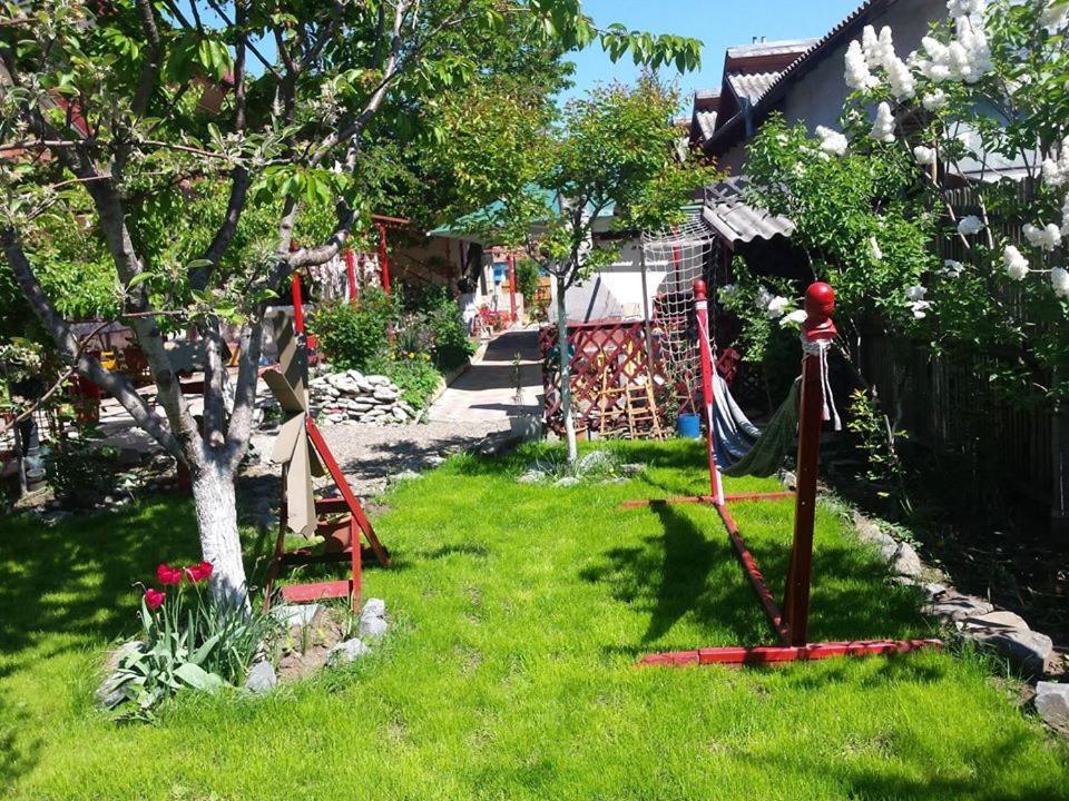 Casa De Vacanta Alexoiu دووا مايْ المظهر الخارجي الصورة