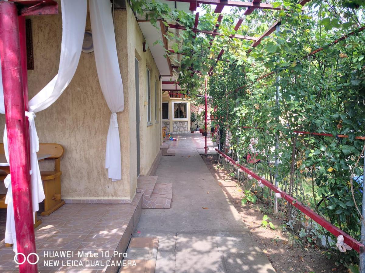 Casa De Vacanta Alexoiu دووا مايْ المظهر الخارجي الصورة